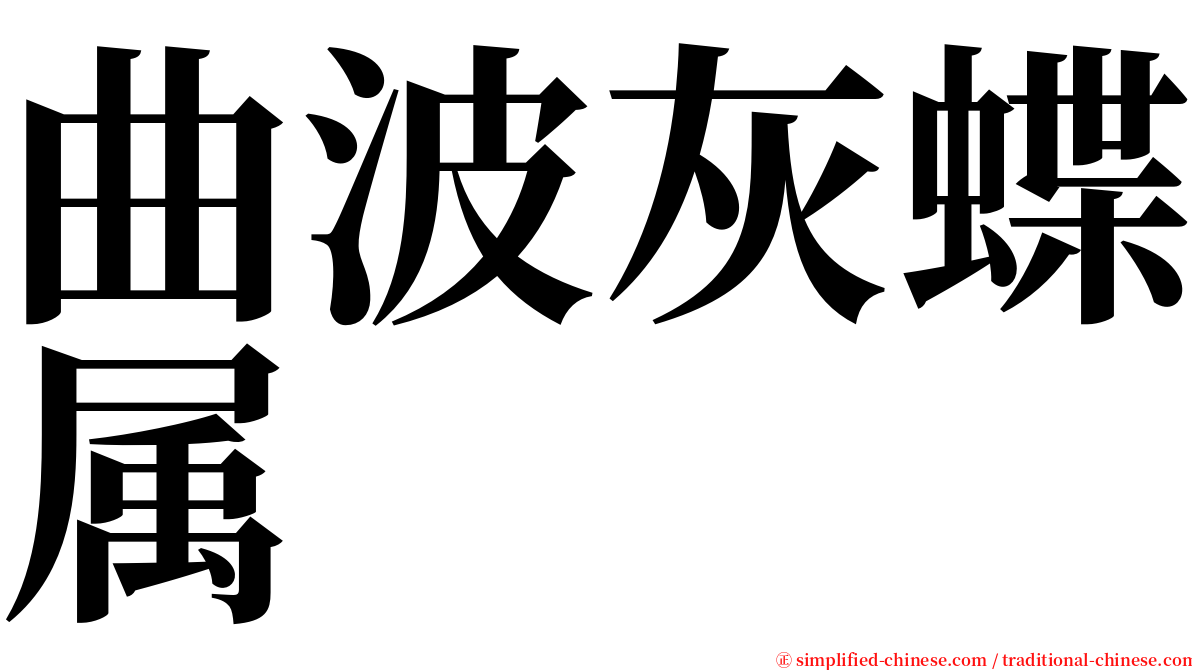 曲波灰蝶属 serif font