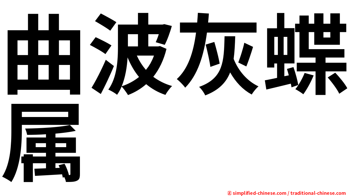 曲波灰蝶属