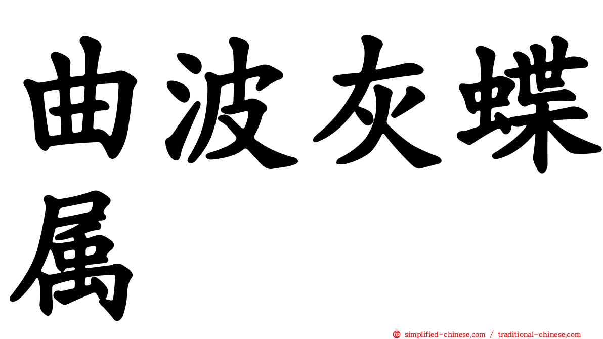 曲波灰蝶属