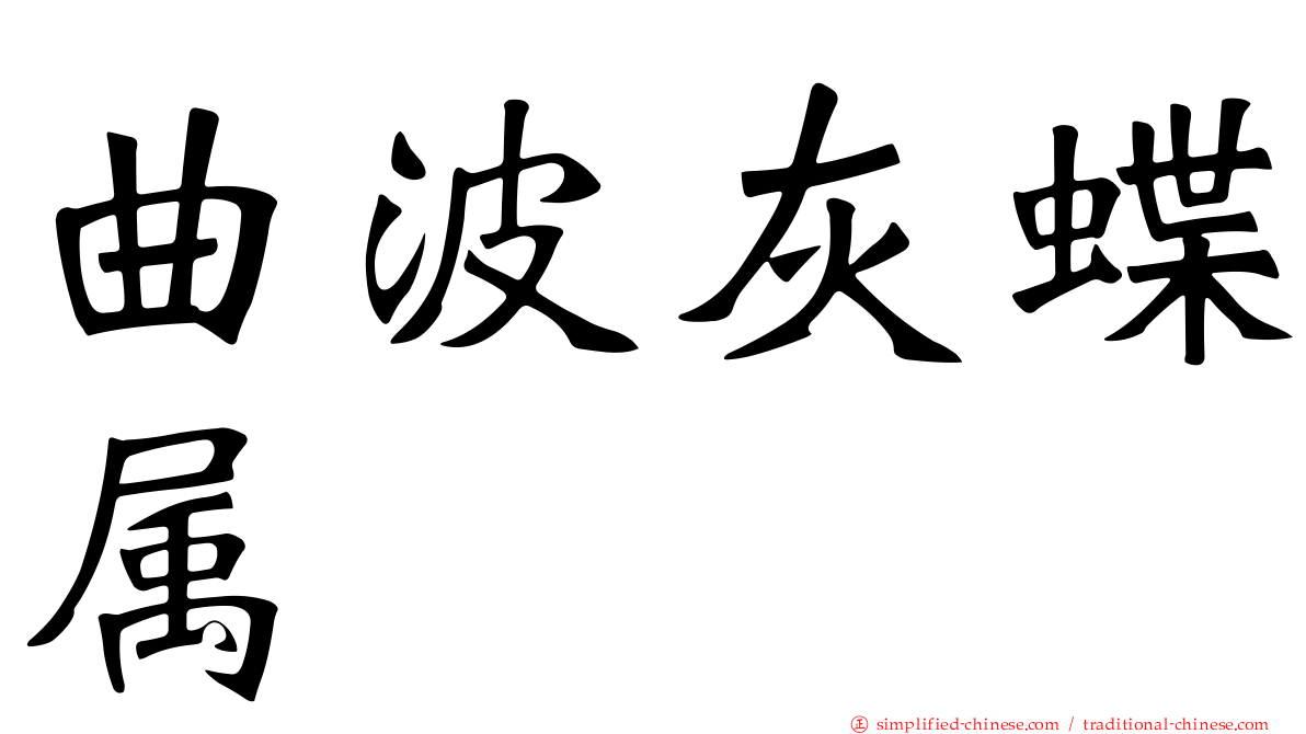 曲波灰蝶属