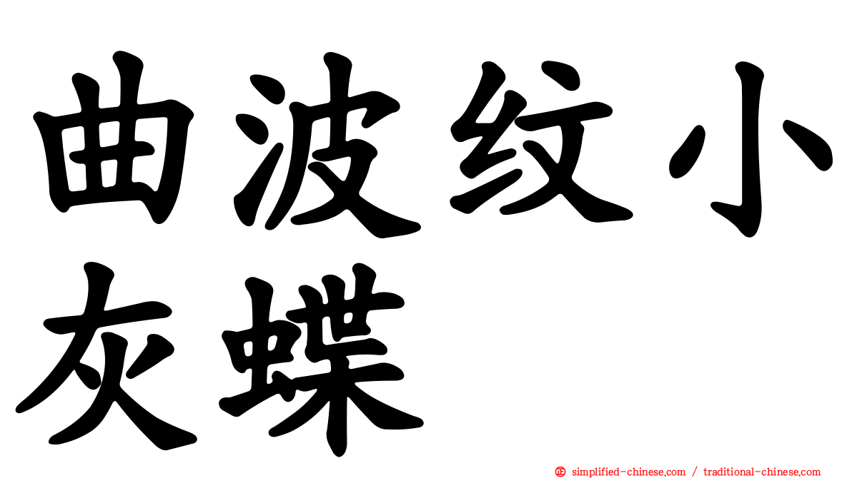 曲波纹小灰蝶
