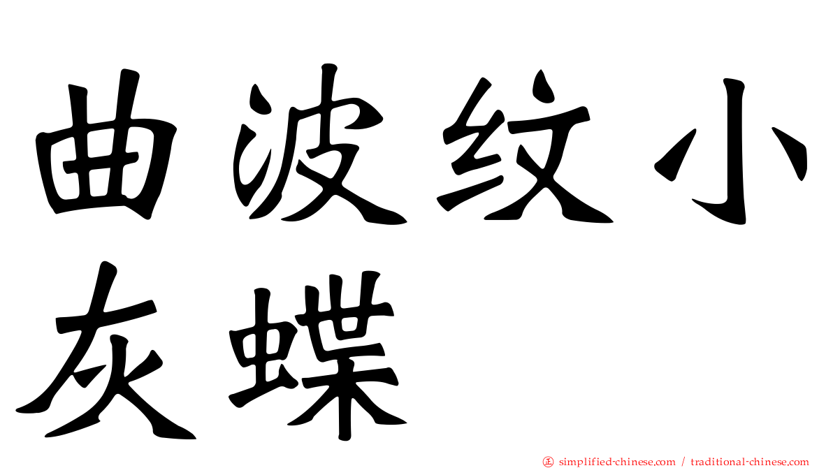 曲波纹小灰蝶