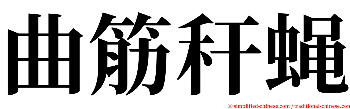 曲筋秆蝇 serif font