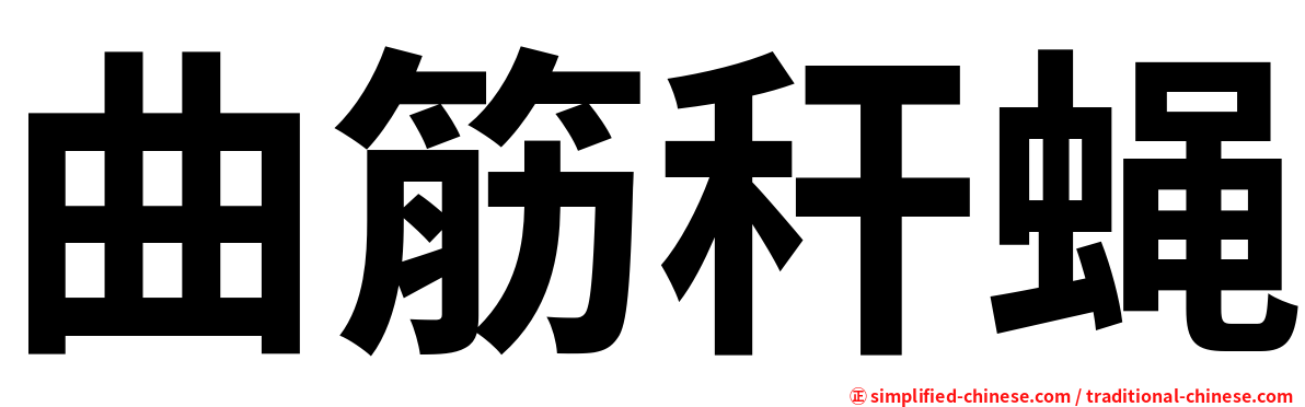 曲筋秆蝇