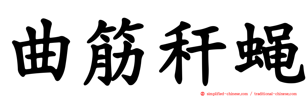 曲筋秆蝇