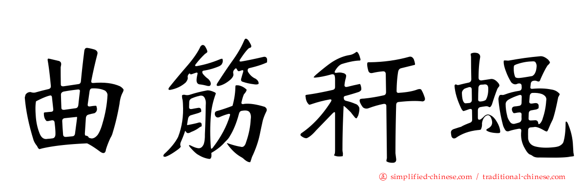 曲筋秆蝇