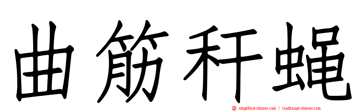 曲筋秆蝇
