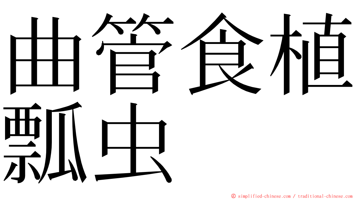 曲管食植瓢虫 ming font