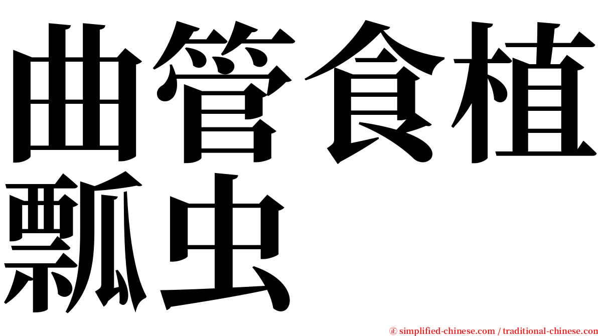 曲管食植瓢虫 serif font