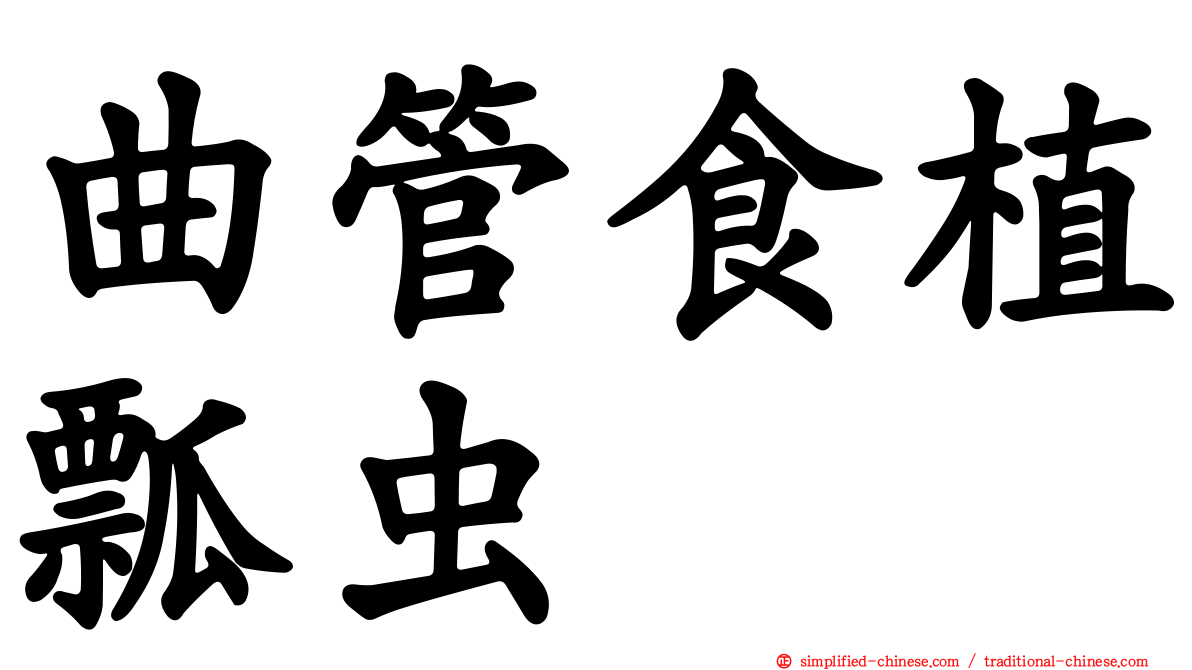 曲管食植瓢虫