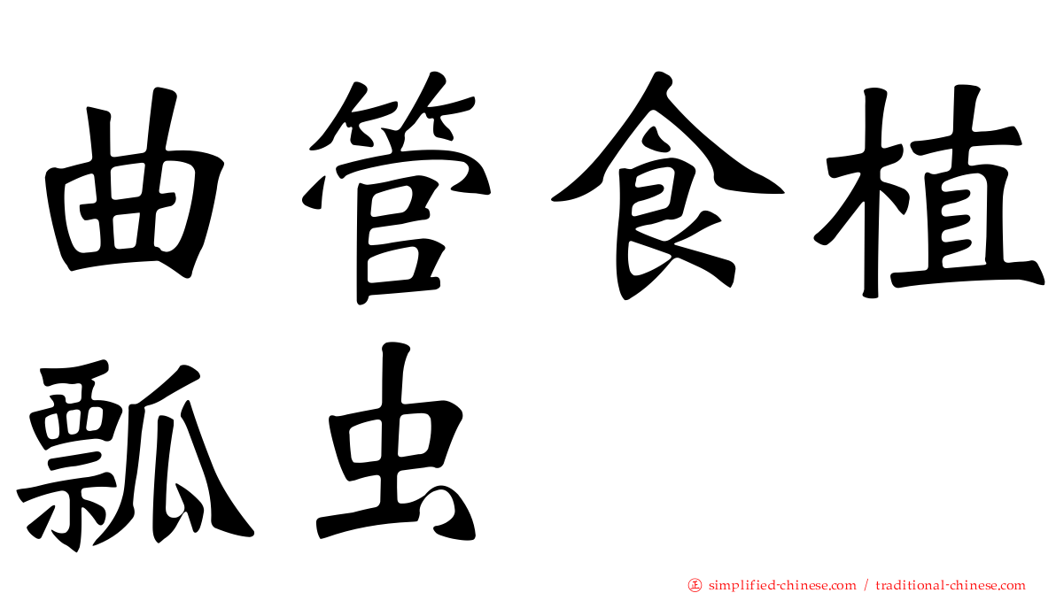 曲管食植瓢虫
