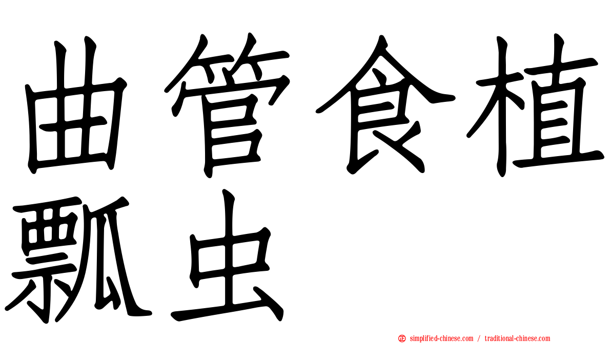 曲管食植瓢虫