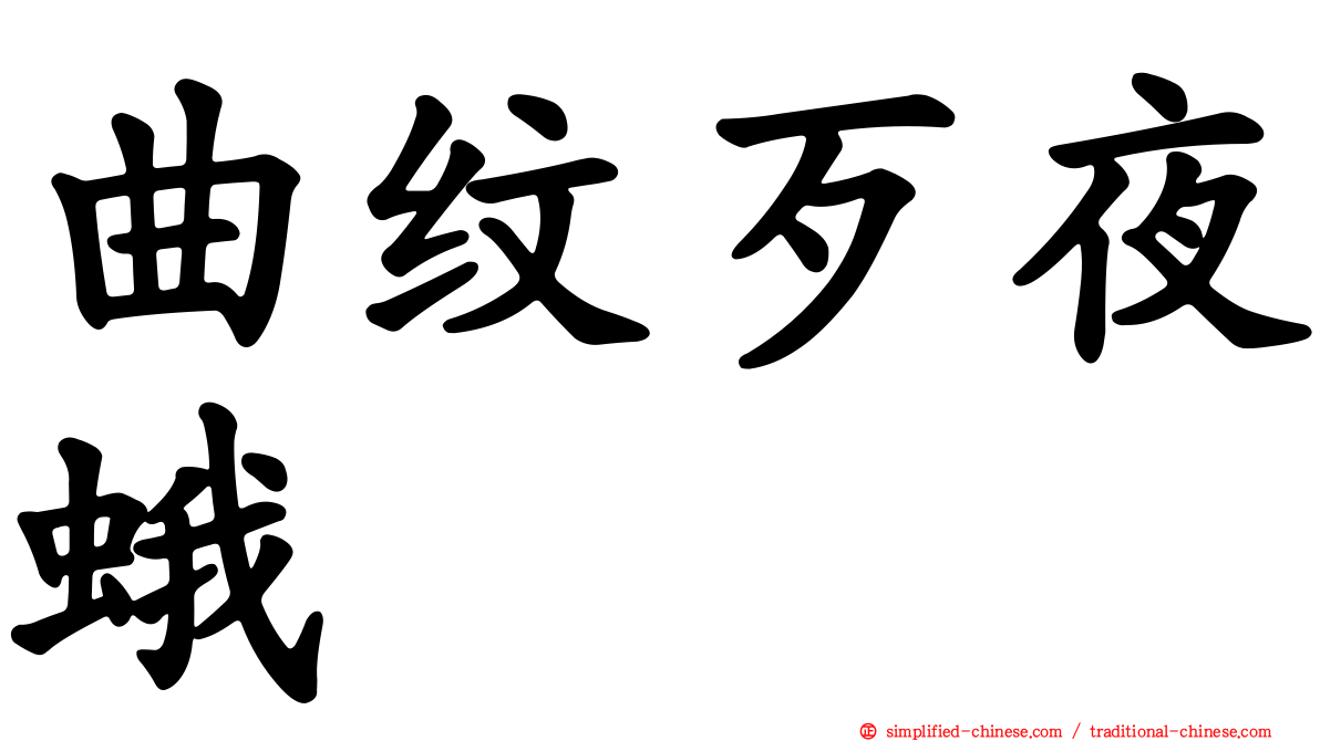 曲纹歹夜蛾