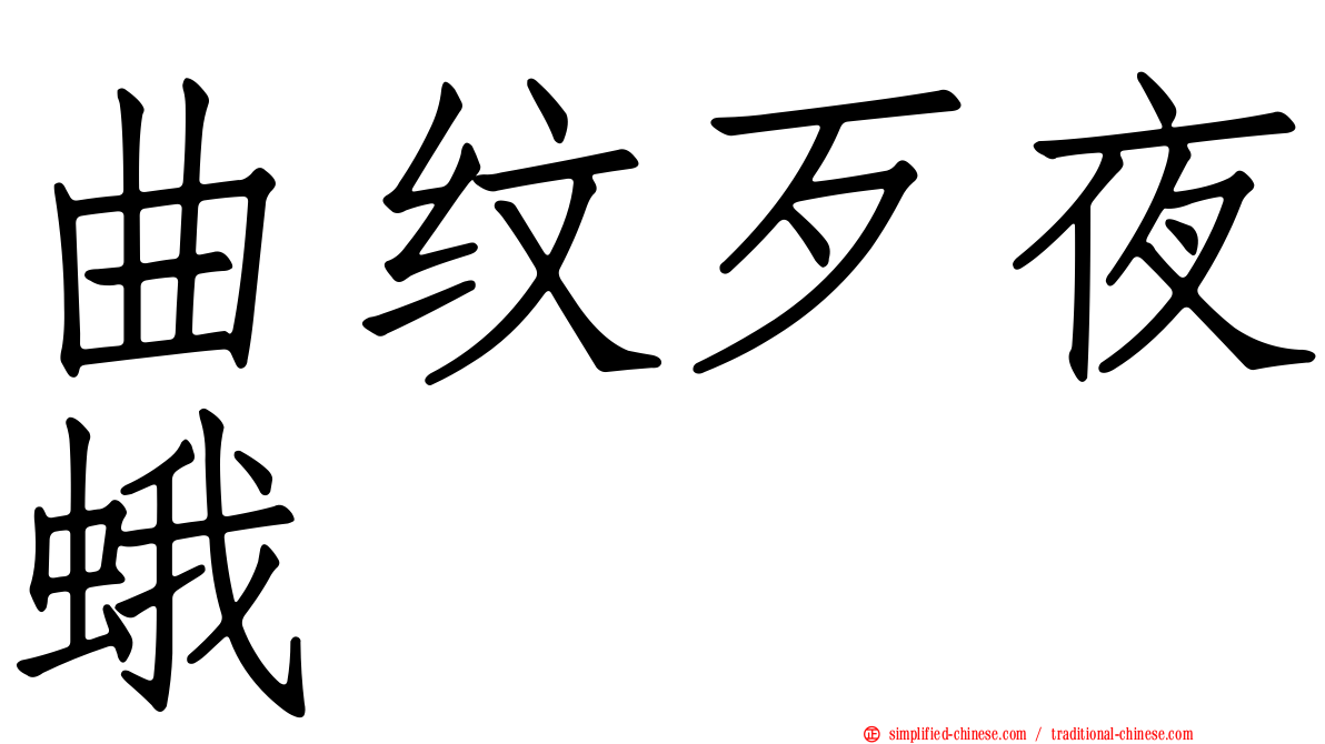 曲纹歹夜蛾