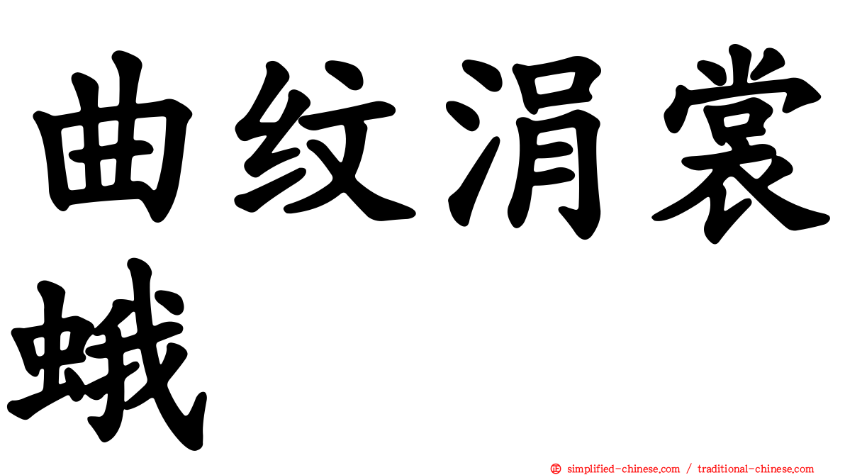 曲纹涓裳蛾