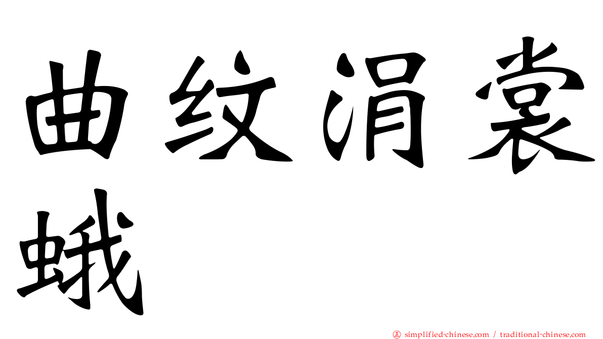 曲纹涓裳蛾
