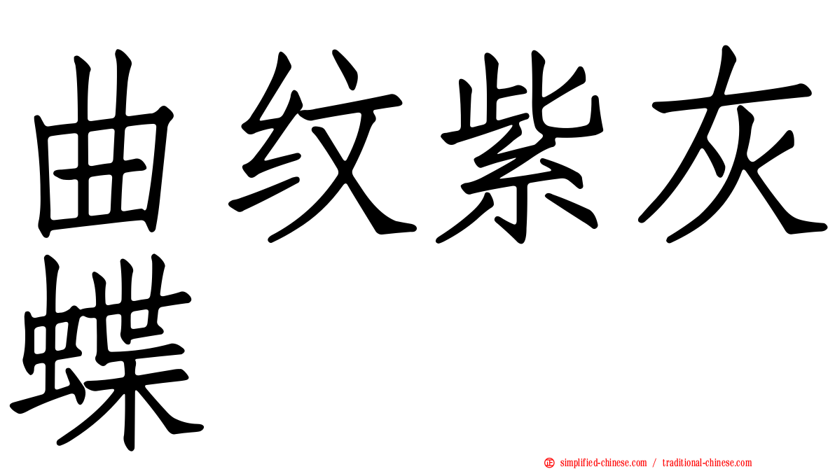 曲纹紫灰蝶
