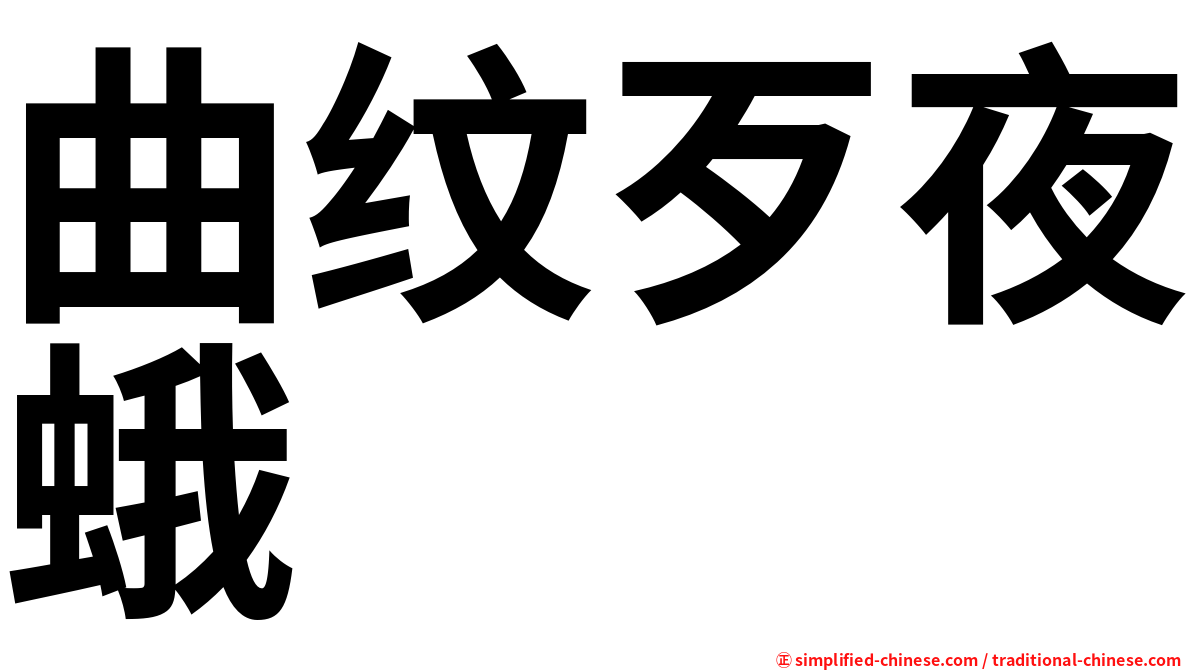 曲纹歹夜蛾