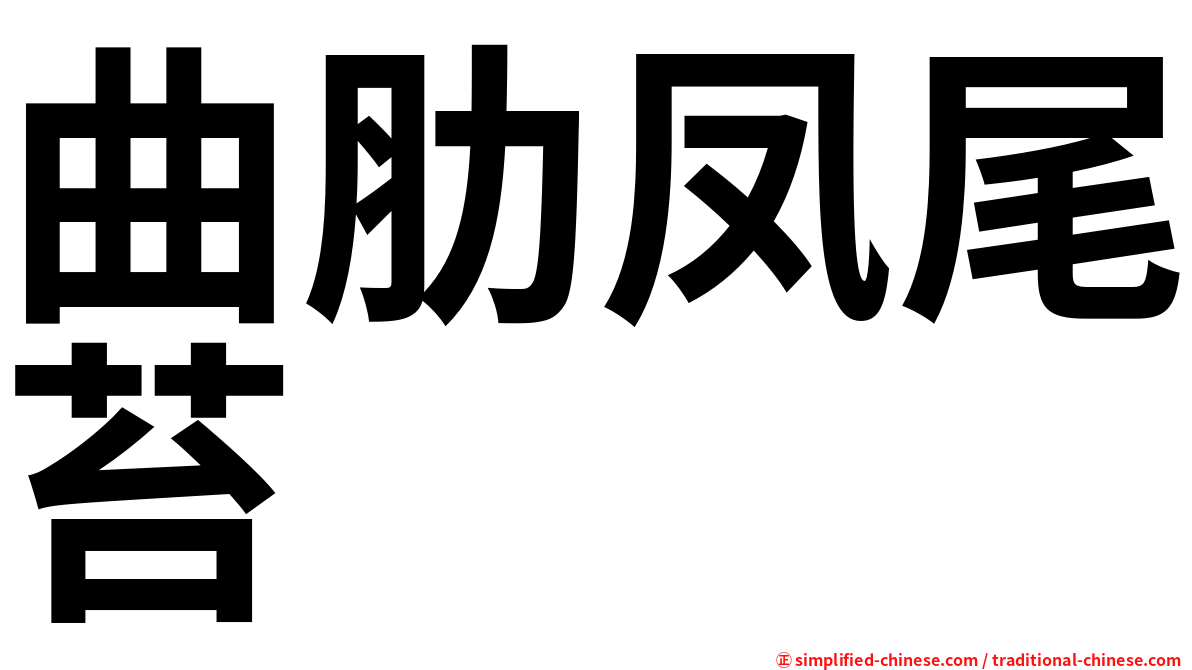 曲肋凤尾苔