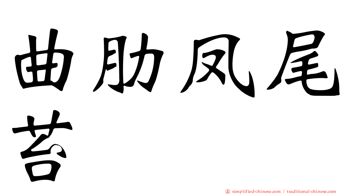 曲肋凤尾苔