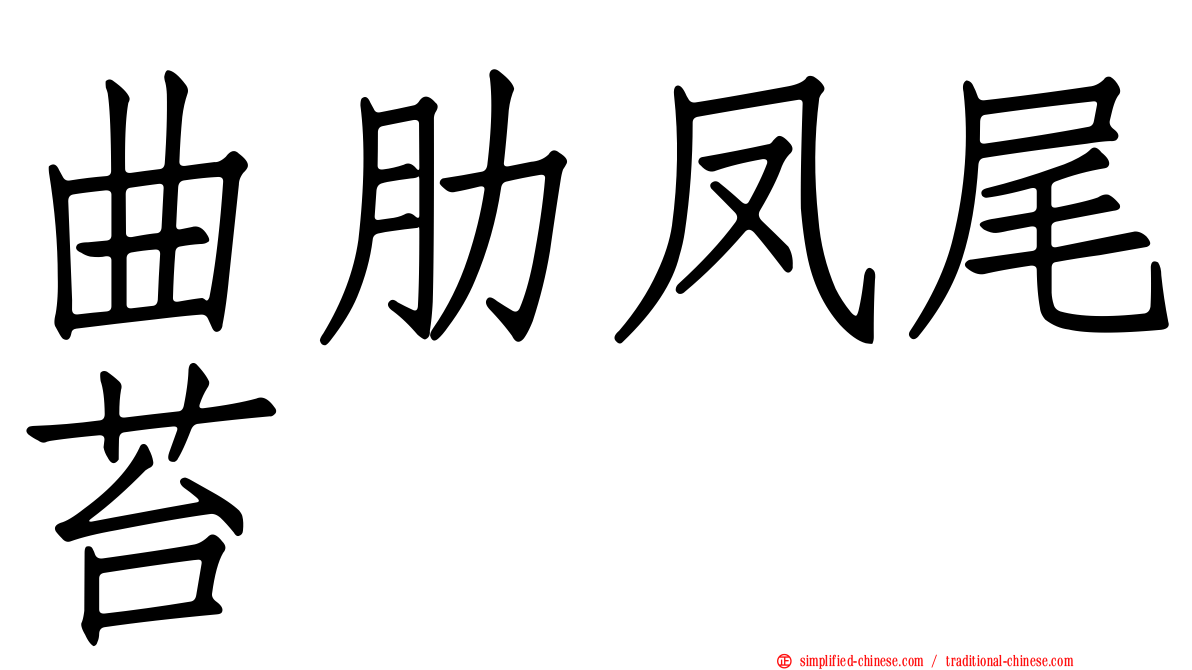 曲肋凤尾苔