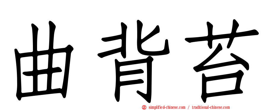 曲背苔