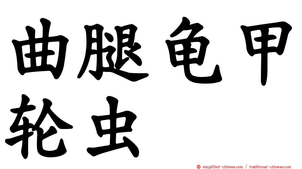曲腿龟甲轮虫