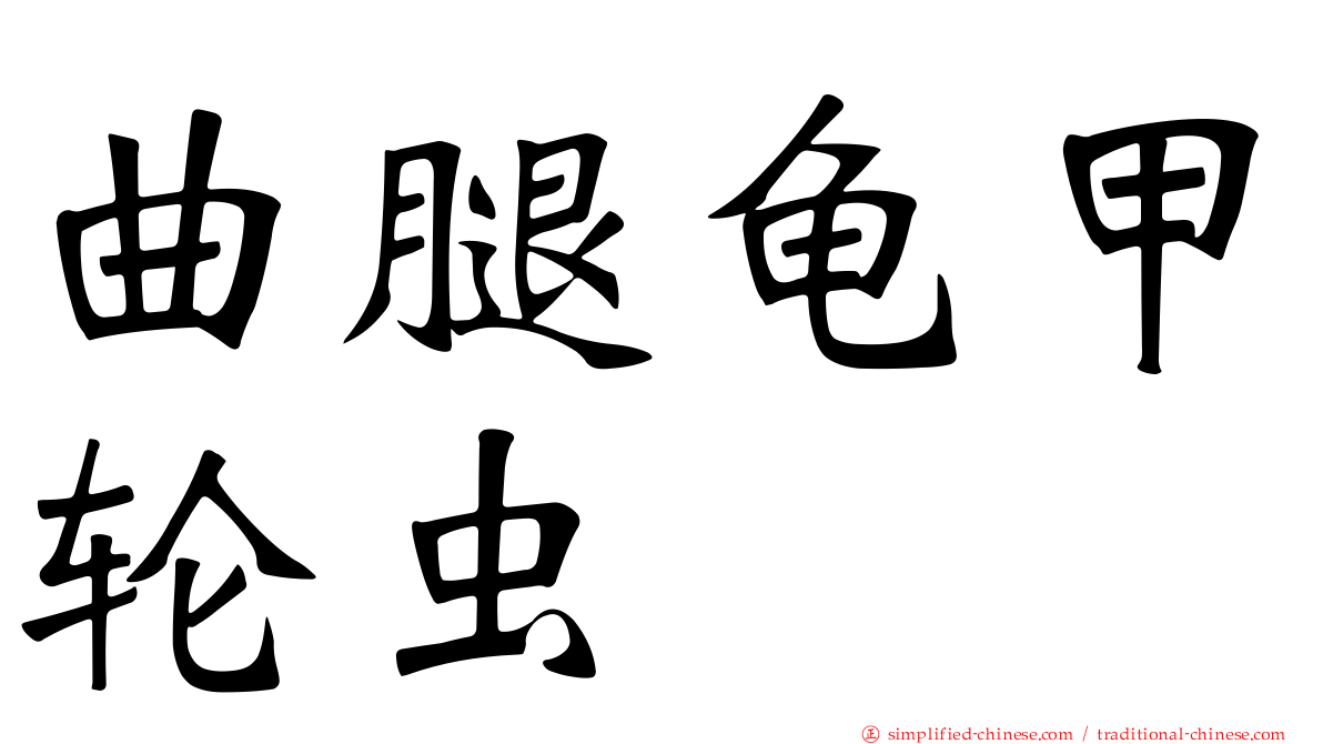 曲腿龟甲轮虫