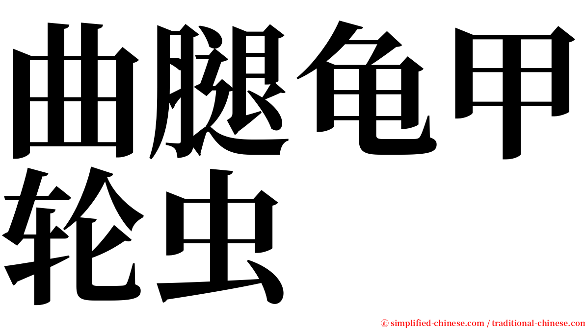 曲腿龟甲轮虫 serif font