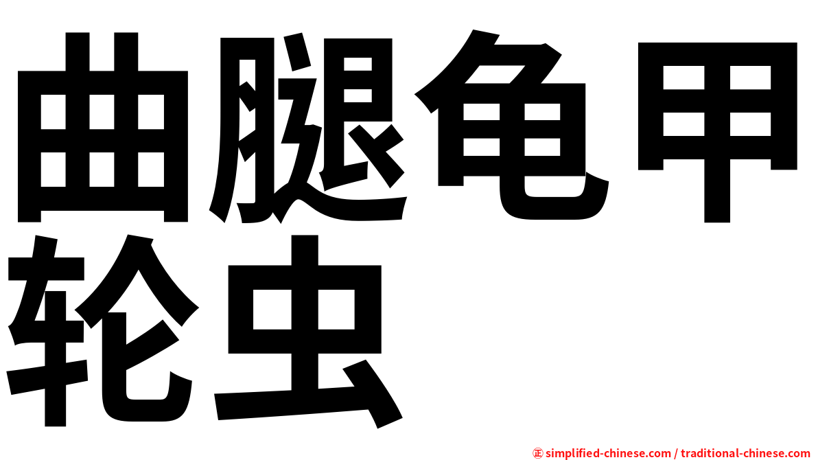 曲腿龟甲轮虫