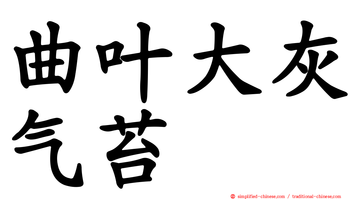 曲叶大灰气苔
