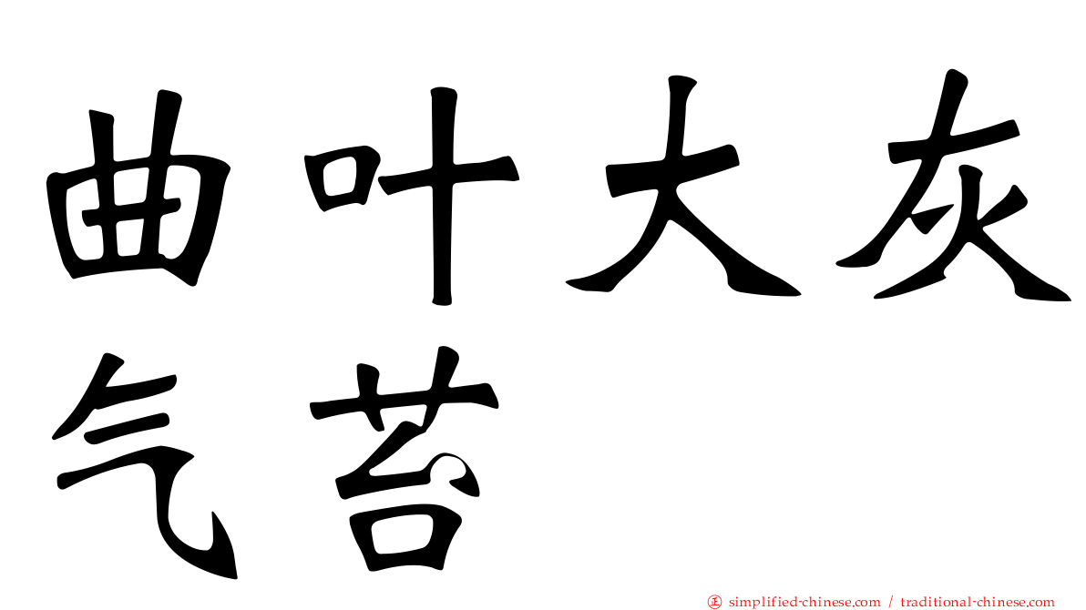 曲叶大灰气苔