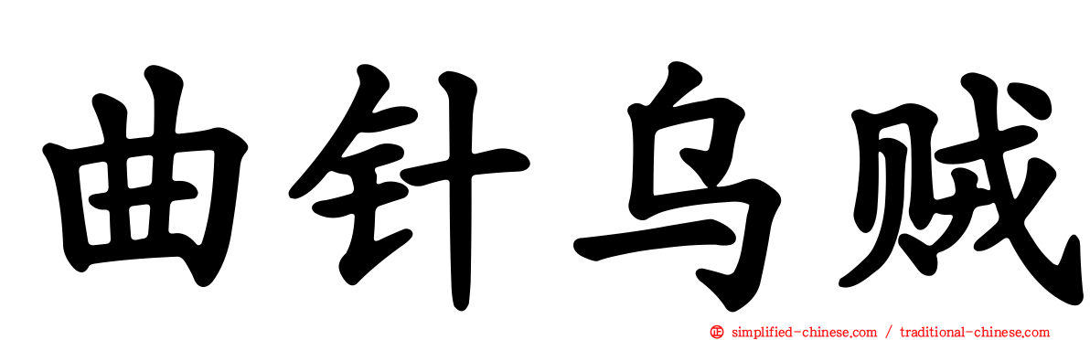 曲针乌贼