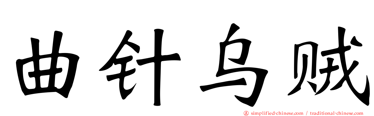 曲针乌贼