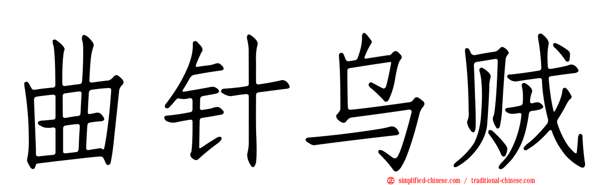 曲针乌贼