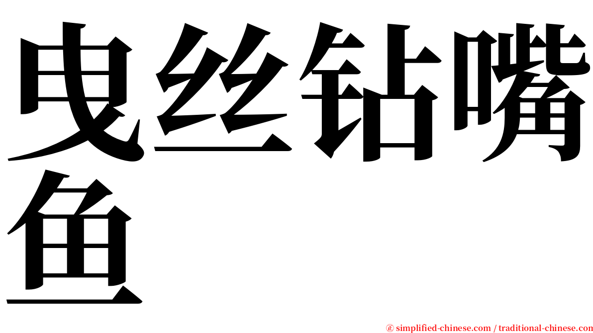 曳丝钻嘴鱼 serif font