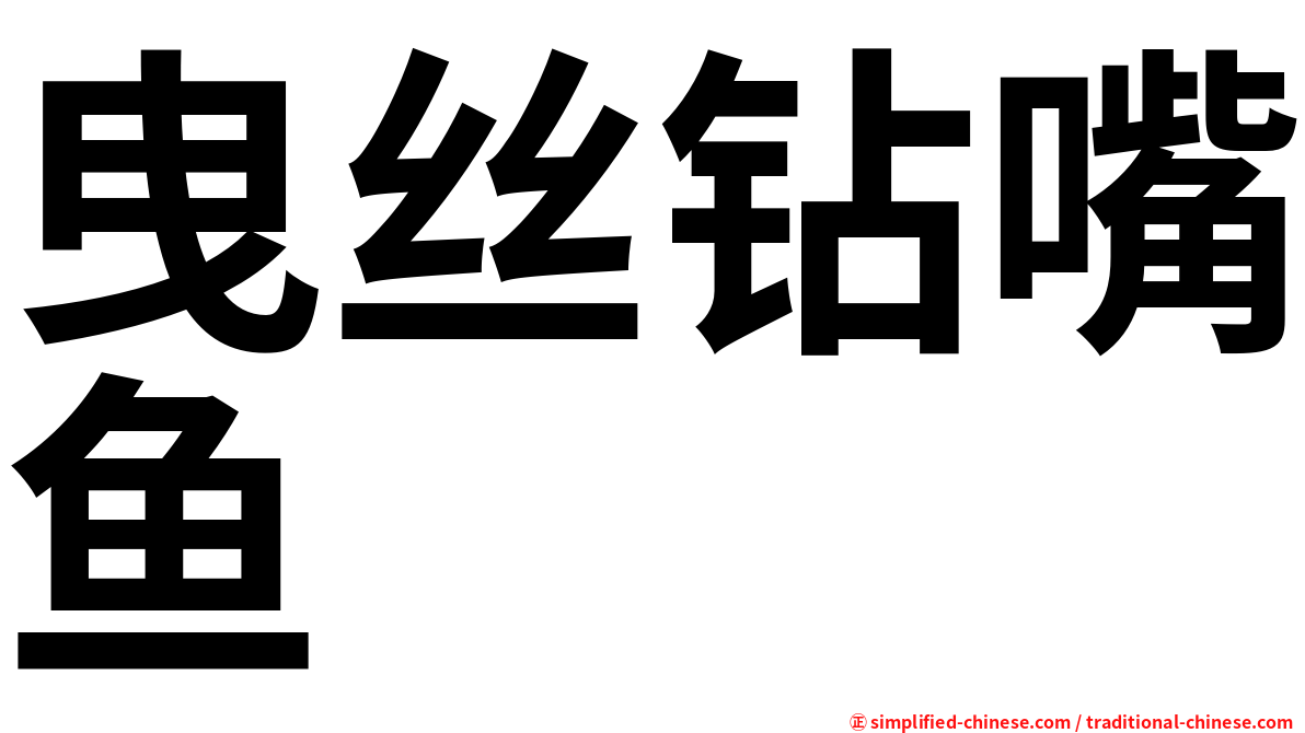 曳丝钻嘴鱼
