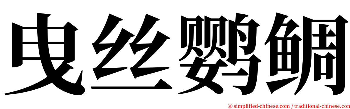 曳丝鹦鲷 serif font