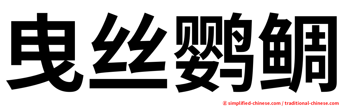 曳丝鹦鲷