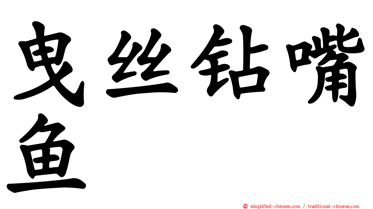 曳丝钻嘴鱼