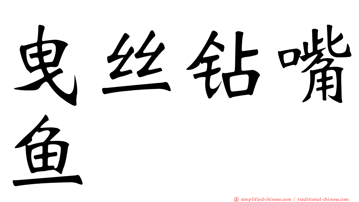 曳丝钻嘴鱼