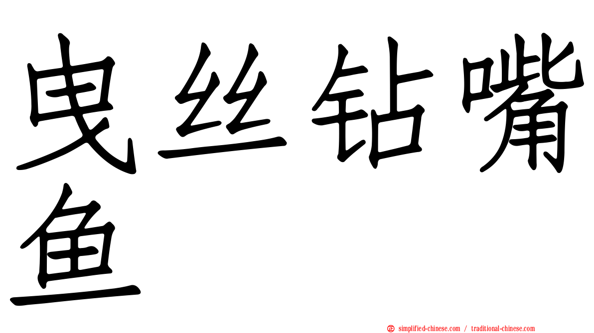 曳丝钻嘴鱼