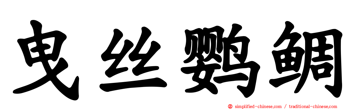 曳丝鹦鲷