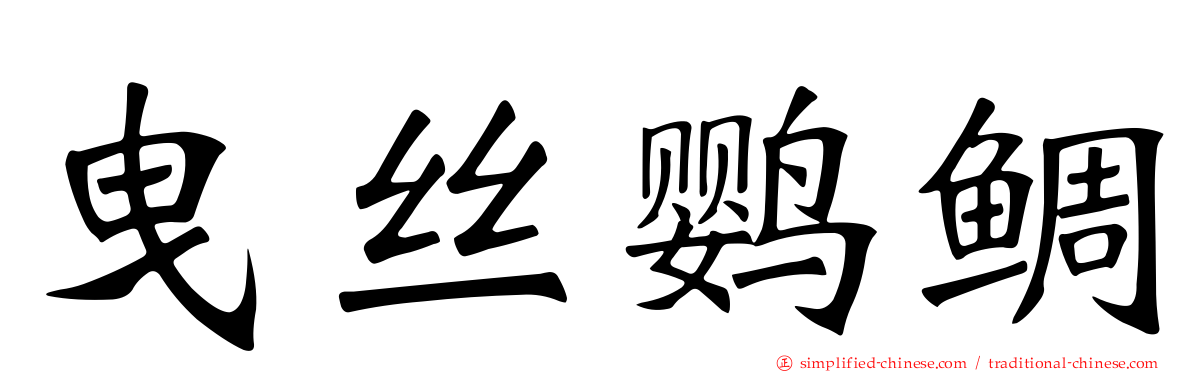 曳丝鹦鲷