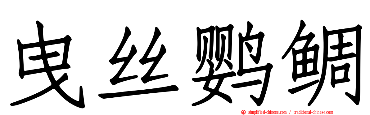 曳丝鹦鲷