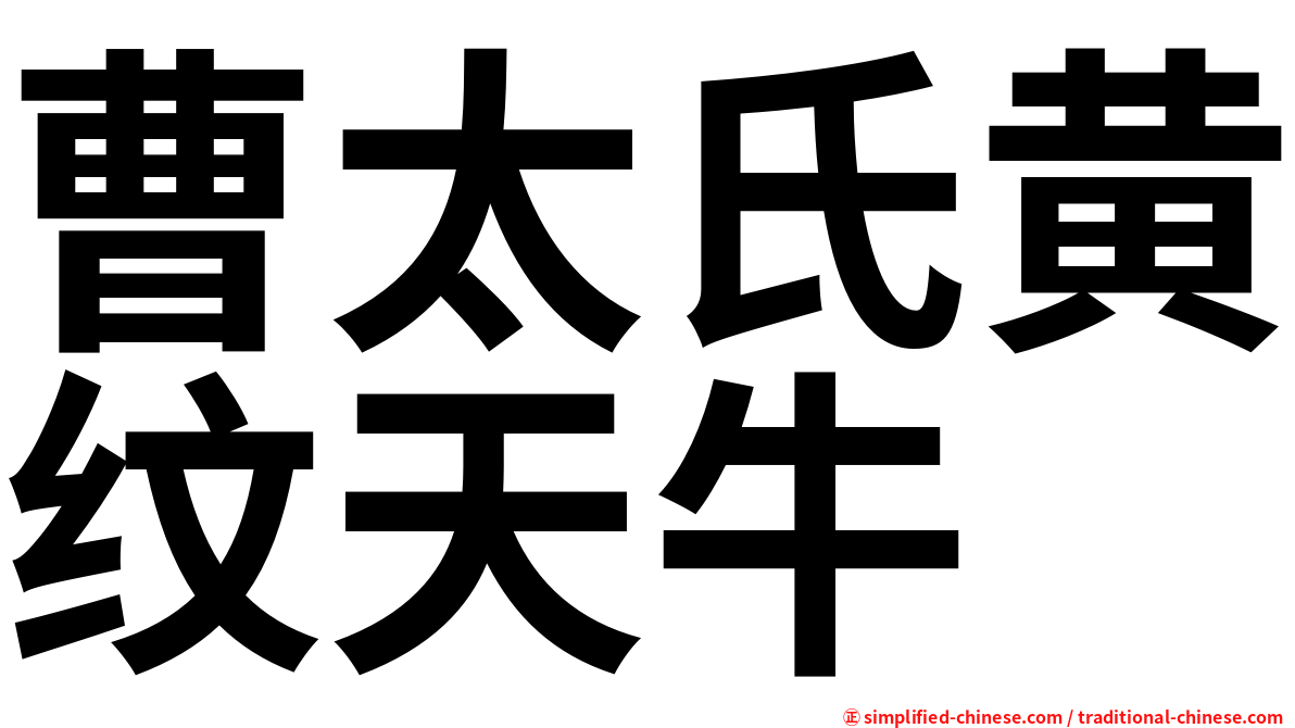 曹太氏黄纹天牛