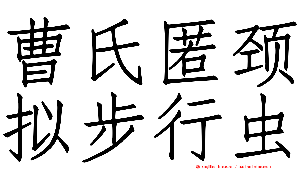 曹氏匿颈拟步行虫