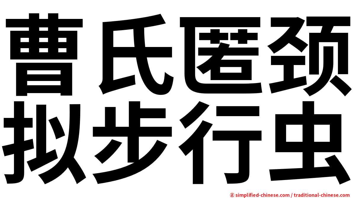 曹氏匿颈拟步行虫