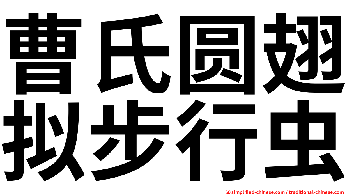 曹氏圆翅拟步行虫