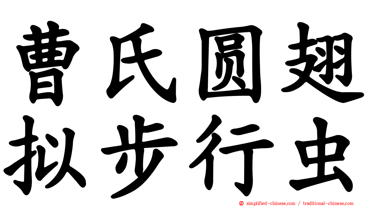 曹氏圆翅拟步行虫